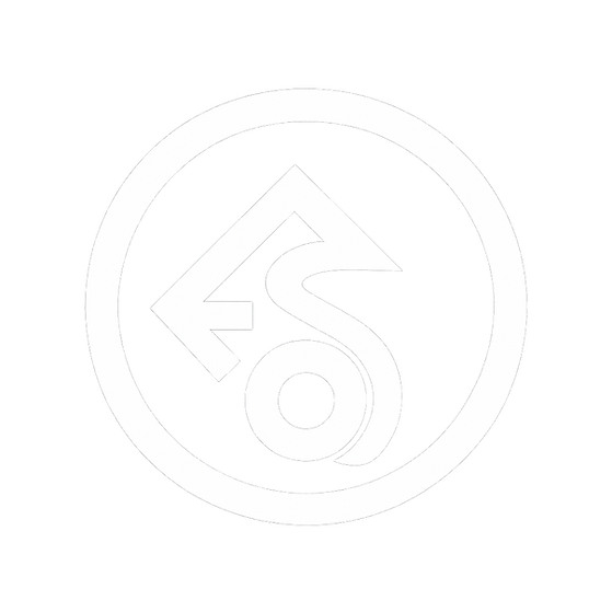 Chief Strategy Officer Logo